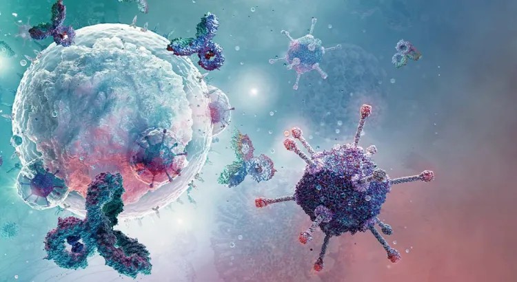 Imunoterapia Contra o C&acirc;ncer 1