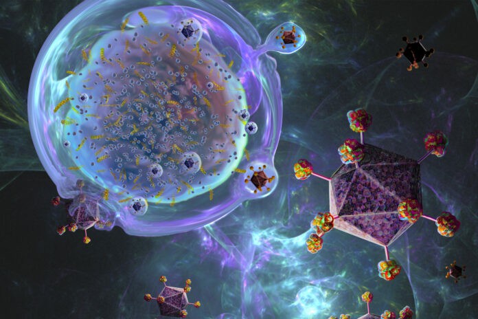 Imunoterapia Contra o C&acirc;ncer 2