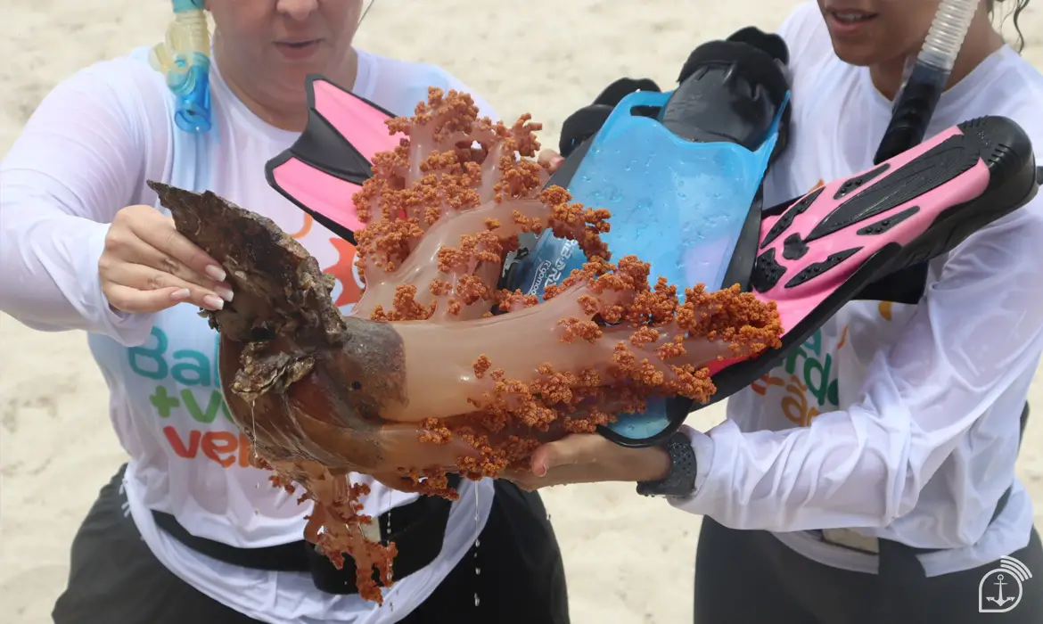 Imagem de especialistas segurando um coral 